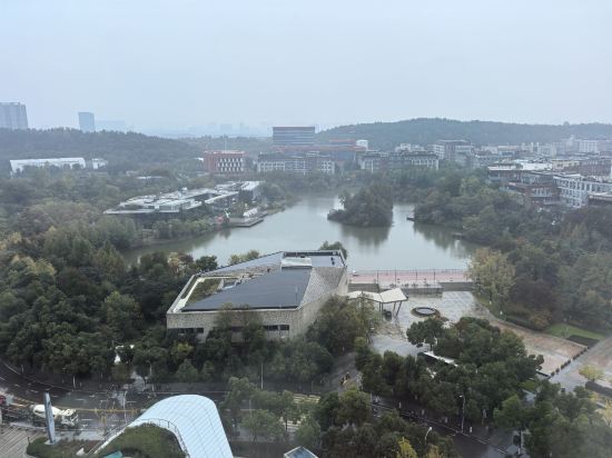 武漢光谷皇冠假日飯店優惠