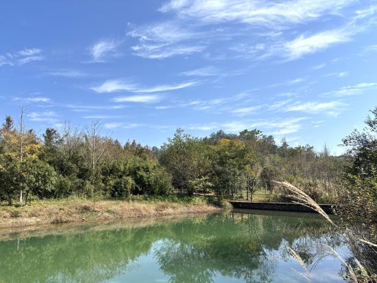 大樂之野（安吉桃花源店）優惠