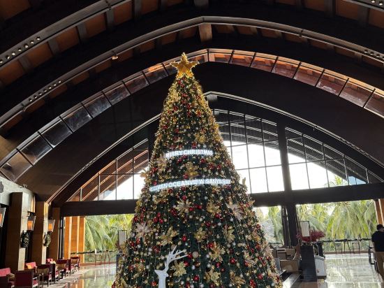 三亞灣海居鉑爾曼度假酒店優惠