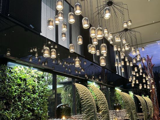 台北阿樹國際旅店優惠