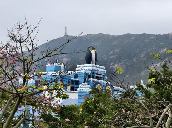 珠海長隆企鵝酒店優惠