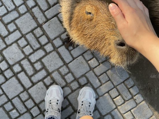 ザ・バンブーフォレスト クーポン