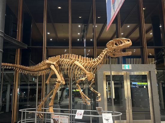 ホテルエコノ福井駅前 クーポン