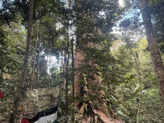 居鑾阿尼卡酒店優惠