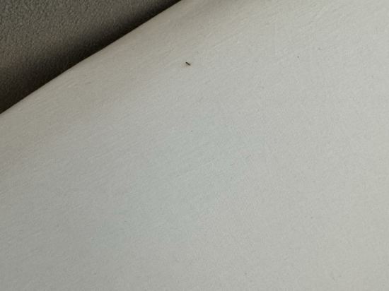 惠特菲爾德吉隆坡白金套房飯店2優惠