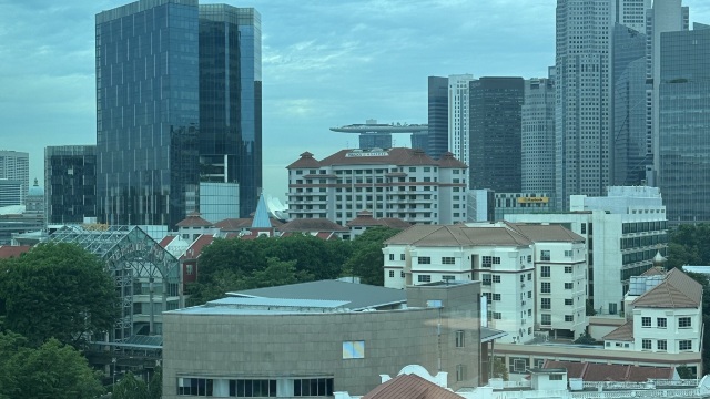 review picture