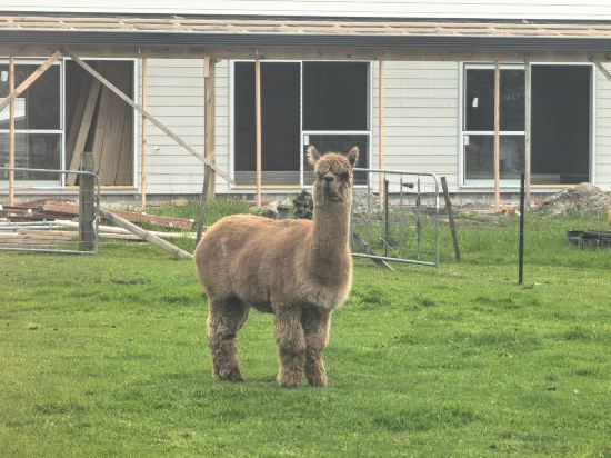 羅託路亞世外桃源旅舍優惠