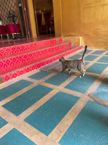 Nakaraj Princess Chiang Rai - Walking Street Photos