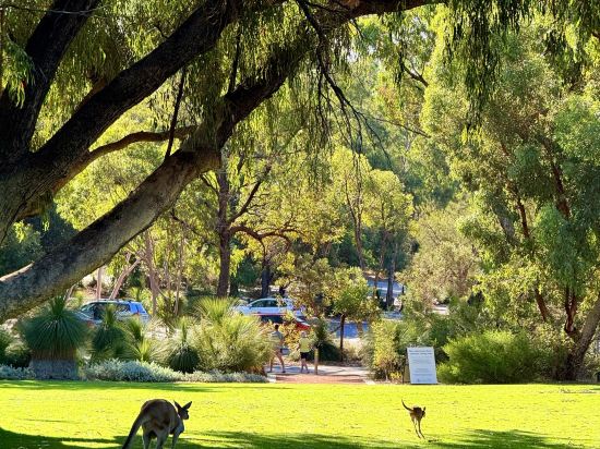 巴拉臘特中心汽車旅館優惠