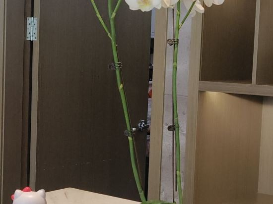 廈門中山路將軍祠亞朵飯店優惠