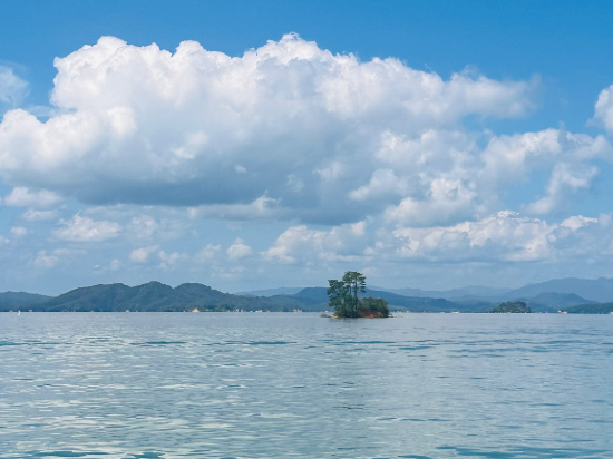 河源客天下.漣岸.禧悦莊温泉美宿優惠