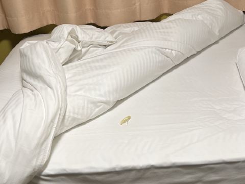 大阪ジョイテルホテル クーポン