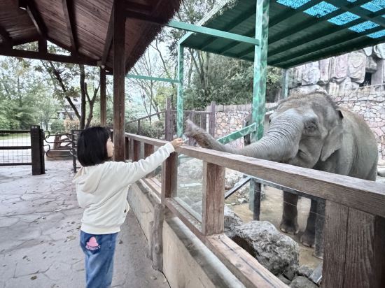 南京紫清湖温泉度假酒店優惠