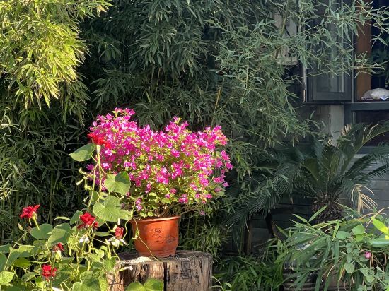 北京天倫松鶴大飯店優惠