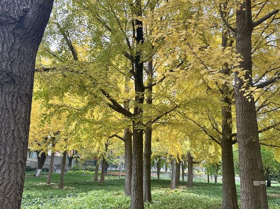 香港尖沙咀皇悦酒店優惠