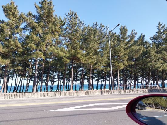 Gangneung Good day Poolvilla 쿠폰