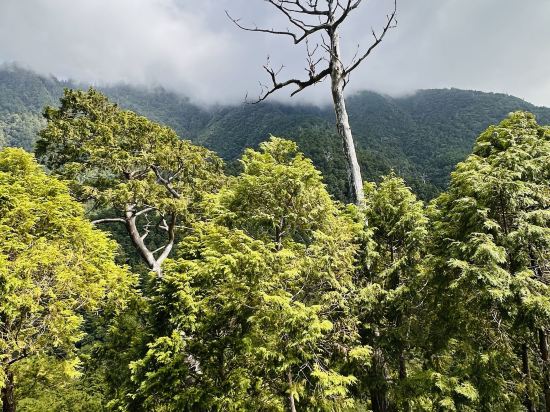 宜蘭大同明池山莊（明池森林遊樂區）優惠