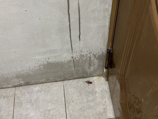 金門飛鳥集行館優惠