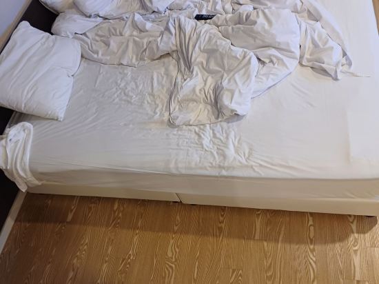 더큐브 리조트 제주 쿠폰