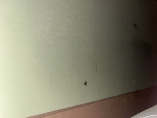 聖艾戈迪歐住宅酒店優惠