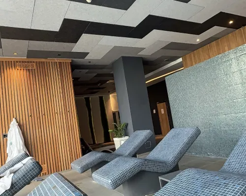 Movenpick Resort and Spa Fruske Terme Public Areas Photos