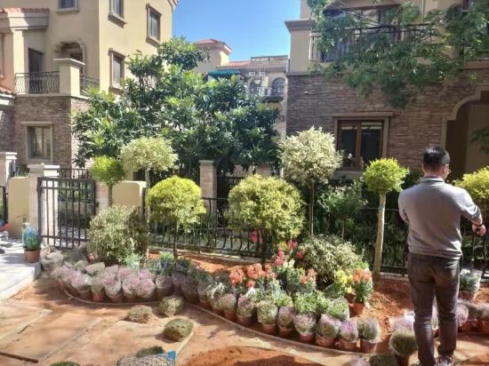 東山島領海網紅海景度假別墅優惠