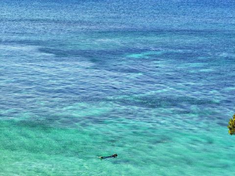 ザ　シーン クーポン