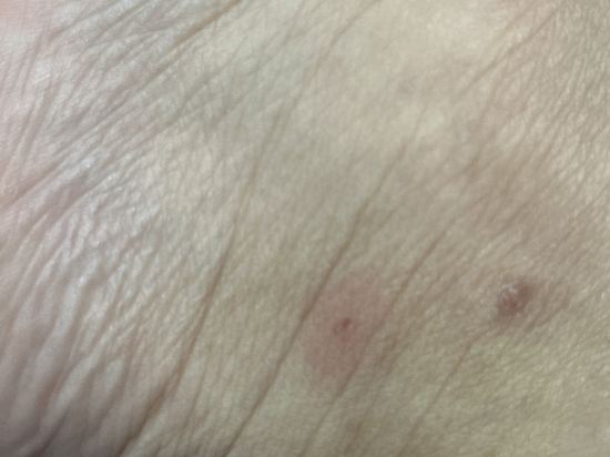 如家商旅飯店（漳州騰飛路古城店）優惠