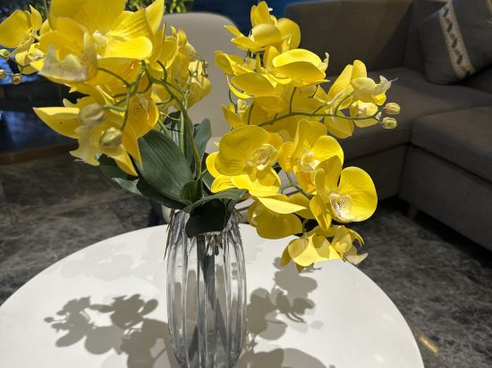 麗楓酒店（中山利和廣場店）優惠