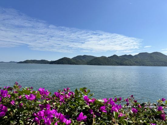 深圳鹽田凱悦酒店優惠