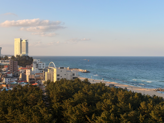 세인트존스 호텔 쿠폰