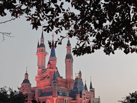 上海國際旅遊度假區萬怡酒店優惠