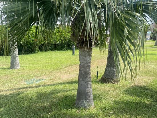 指宿フェニックスホテル クーポン