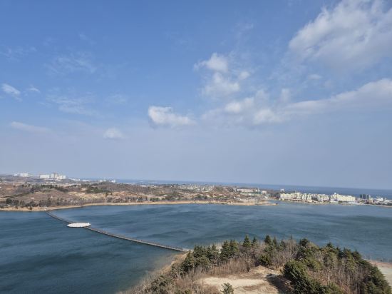 신세계 영랑호 리조트 쿠폰