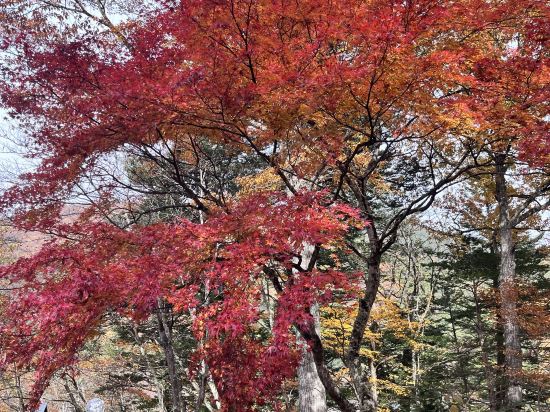 おやど　湯の季（ゆのとき） クーポン