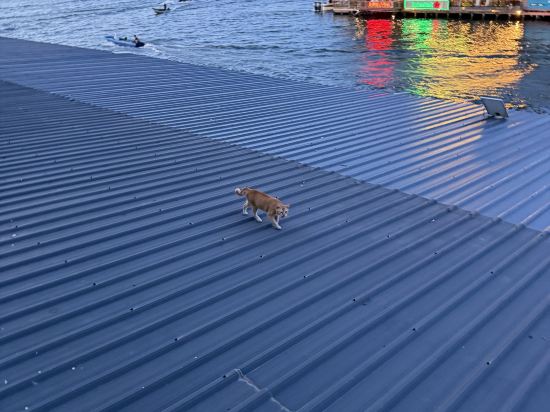 仙本那西巴丹酒店 2優惠