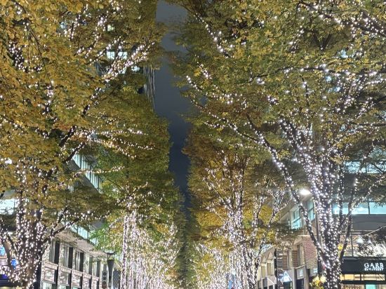 東急Stay西新宿飯店優惠