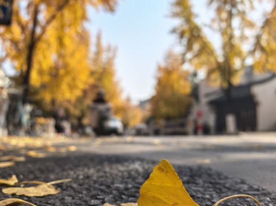 杭州維景國際大酒店優惠