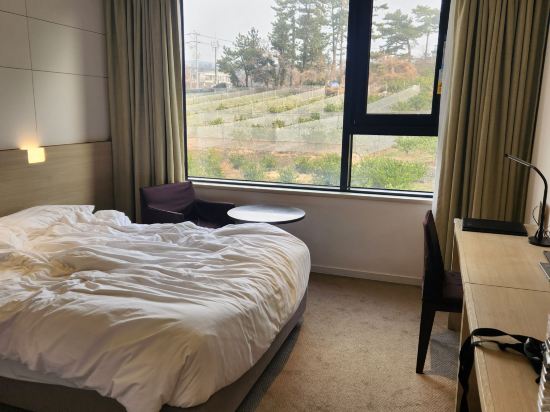 호텔 더본 제주 쿠폰