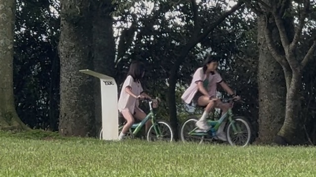 review picture