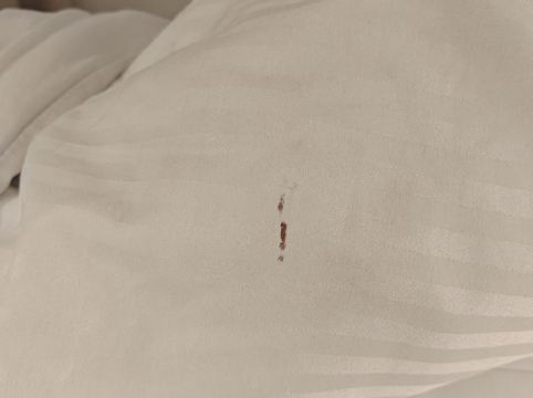 瓜魯由斯機場希爾頓歡朋酒店優惠