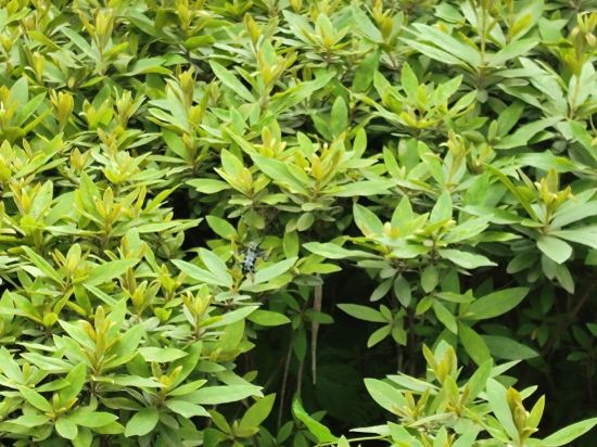 福州學彬快捷酒店優惠