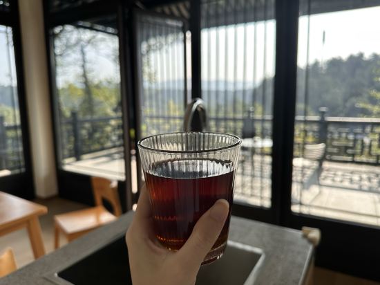 大樂之野（安吉桃花源店）優惠