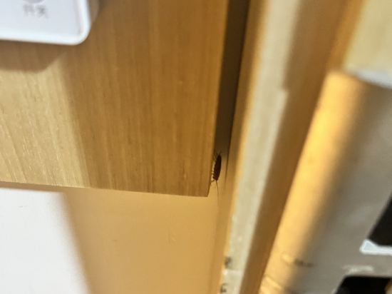 貴陽宜佳華酒店（花果園店）優惠