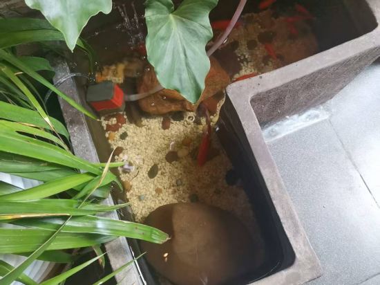 花築奢·Raw酒店（金馬碧雞翠湖昆明店）優惠
