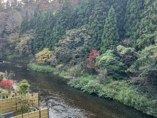 游泉　志だて クーポン