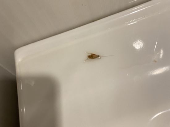 蘇普利姆酒店優惠