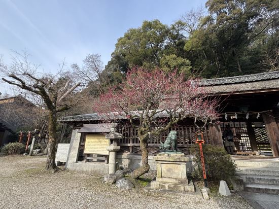スーパーホテル大津駅前 クーポン