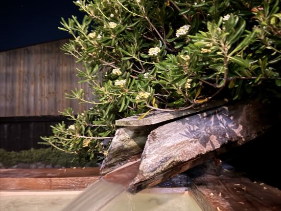 たたみの宿　湯の花亭 クーポン