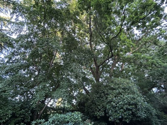 中山盛景尚峰飯店優惠